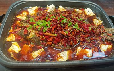想学炭火锅烤鱼技术哪里有？